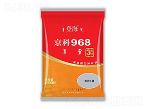 國(guó)審京科927-玉米種子-中智龍星
