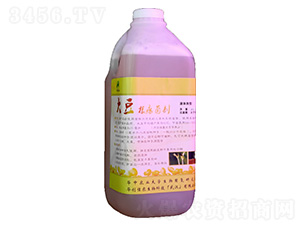 2000ml󶹸Һw-A(chung)r