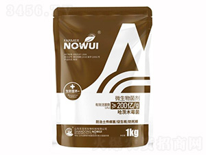 ΢-ľù-r(nng)o(w)n(yu)