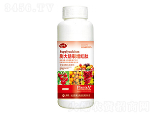 tģ500g--sҫrI(y)