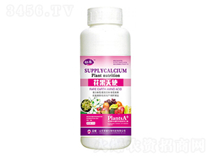 ʹ500g--sҫrI(y)