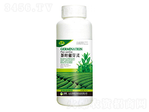 ~ѿ`500g--sҫrI(y)