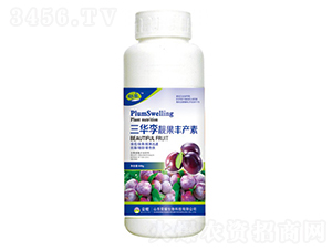 AnSaأ500g--sҫrI(y)
