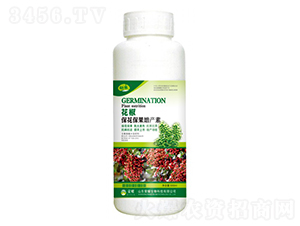 aأ500g--sҫrI(y)