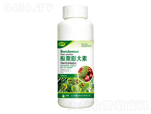 أ500g--sҫrI(y)