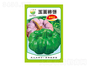 姜柄瓜種子-玉面柿餅-太樂種業(yè)