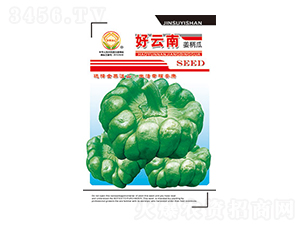 姜柄瓜種子-好云南-太樂種業(yè)