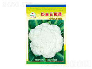 白花椰菜種子-松白花椰菜-太樂(lè)種業(yè)