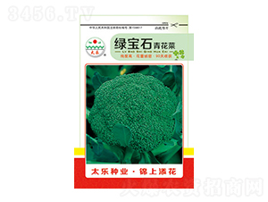 西蘭花種子-綠寶石-太樂(lè)種業(yè)
