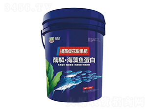 酶解·海藻魚蛋白-瑞倍達