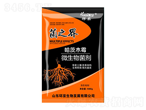 哈茨木霉微生物菌劑-菌之界-環(huán)東-中德益農(nóng)